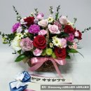병문농장 네이버블로그