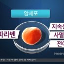 시크릿다이렉트코리아(주)
