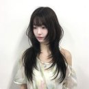 헤어컷 - 청도군 온천길 23 | 잠실 프리프헤어 레이어드컷 후기, 자연스러운 변화 과정