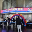 🐍 [K렙타일페어 2025] 송도컨벤시아 방문기! 도마뱀부터 타란툴라까지 희귀 애완동물 총집합#인천아이와...