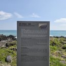 온평환해장성 | 제주도 여행, 제주도 동남쪽 수려한 바다풍경이 있는 곳, "온평리환해장성"