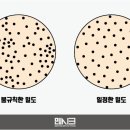 맨시크 이미지