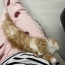 청라터널 화장실 이미지