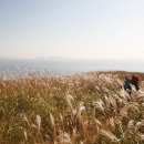 아침이슬펜션민박 이미지