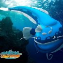 햇살가득 이미지