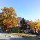 마루아라 이미지