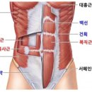 RESEFIT 이미지
