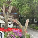 계명산나무숲길캠핑장 | 부부캠린이🏕️. 충주 : 계명산나무숲길캠핑장