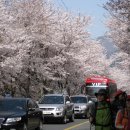 황장산등산로 입구 이미지