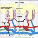 둔산튼튼한의원 이미지