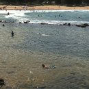 아보카(AVOCA) 이미지