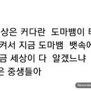 기롱 이미지