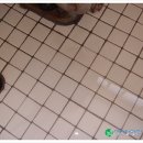 청명환경산업 이미지