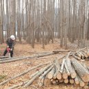 서면의숲 이미지