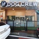 독크루 첨단점 | 상무지구 애견호텔, 독크루 다녀온 후기!