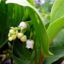 고요농장 이미지