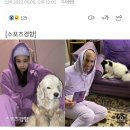 아이돌 열애설 레전드 투탑 이미지