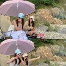 가위바위보쌈정식 이미지