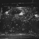 무병장수건강원 이미지