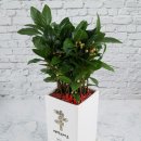 빅스타당구클럽 이미지