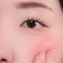 어바웃톤 로지우드 여쿨 후기