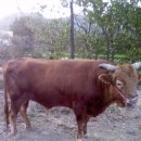 대림농장 이미지