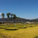 가야 태양광 이미지