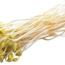 삼대한의원 이미지