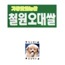 김종열한의원 | 체질별 얼굴형 - 태음인, 소음인, 소양인, 태양인