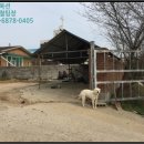 덕정보건진료소 이미지