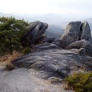 덕산면007 Daum카페