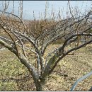 석경농장 이미지