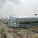 소림농장 이미지