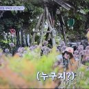 2026년7월15일. KBS.TV 6시내고향. 오!만보기. 지중해샘 (고향집.진안) 방영 이미지