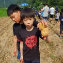 달북초등학교 이미지