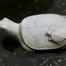 승원세탁소 이미지