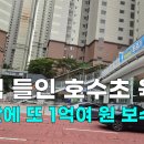 호수초 천안신문