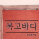 복고바다 이미지