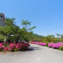 다덕파크 이미지