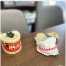 아이엠치과의원 이미지