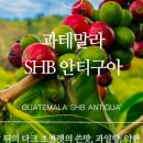 제이엠디(JMD)