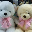 이편한 세탁 이미지