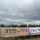 롯데마트 계양점 이미지