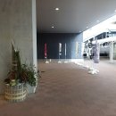 신토스