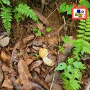 제암산 곰재화장실 이미지