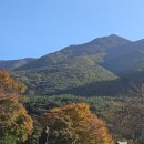 사자평원 | 밀양 재약산 등산코스 표충사 재약산 천황산 표충사 가을 연계산행 억새·폭포·정상뷰까지