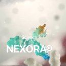 카인넥스 이미지