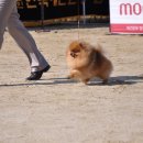 이천공설운동장 이미지