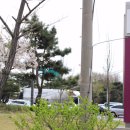 단원 김홍도의 거리풍정 이미지