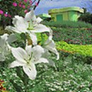 중로3-245 이미지